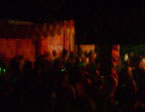 Pena Party 2010